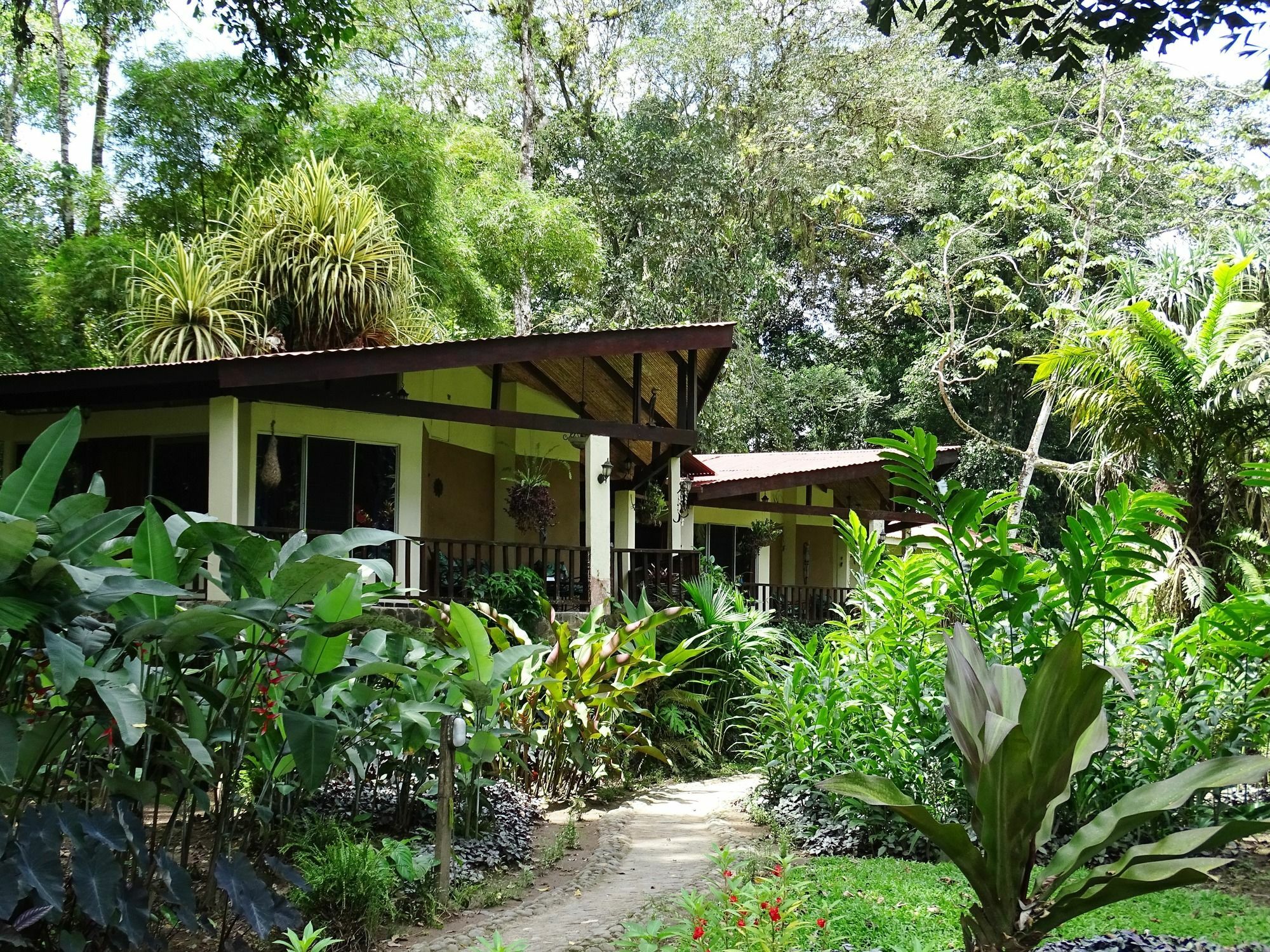 Bed and Breakfast Heliconia Island à Las Horquetas Extérieur photo